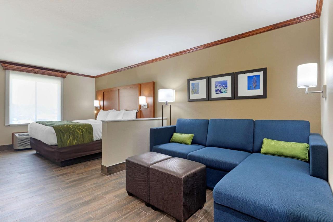 Comfort Suites West Monroe Near Ike Hamilton Expo Center Экстерьер фото